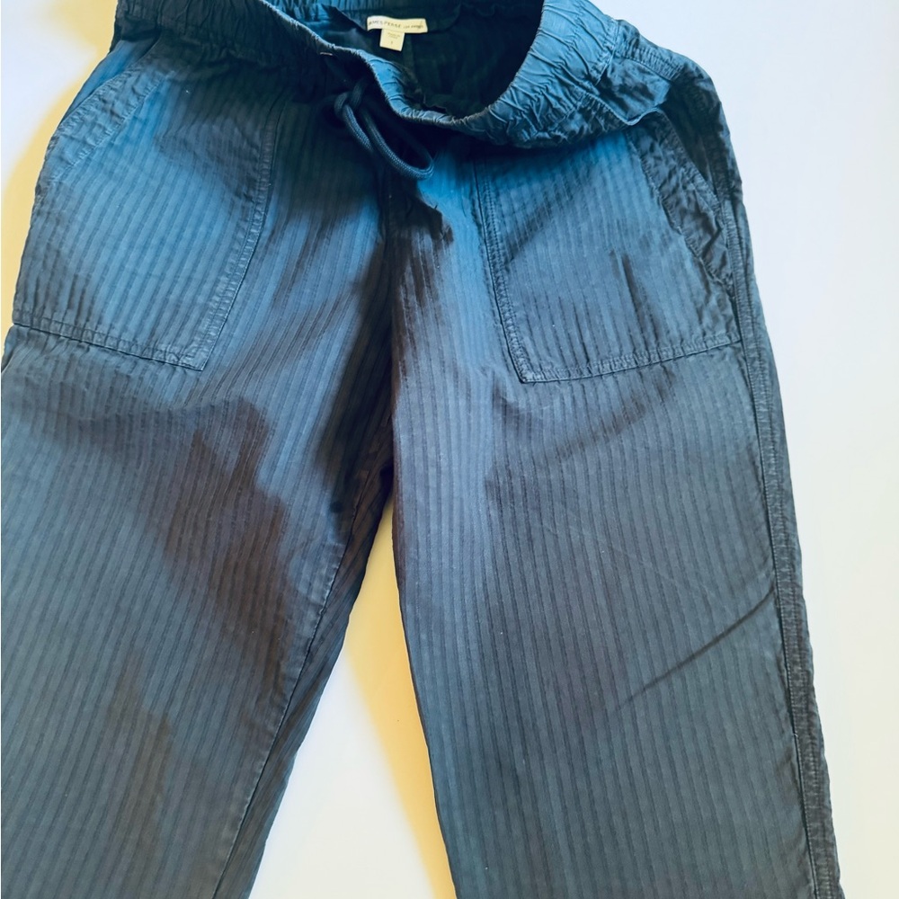 James Perse Navy Pinstripe Drawstring Chinos